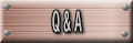 Q&A